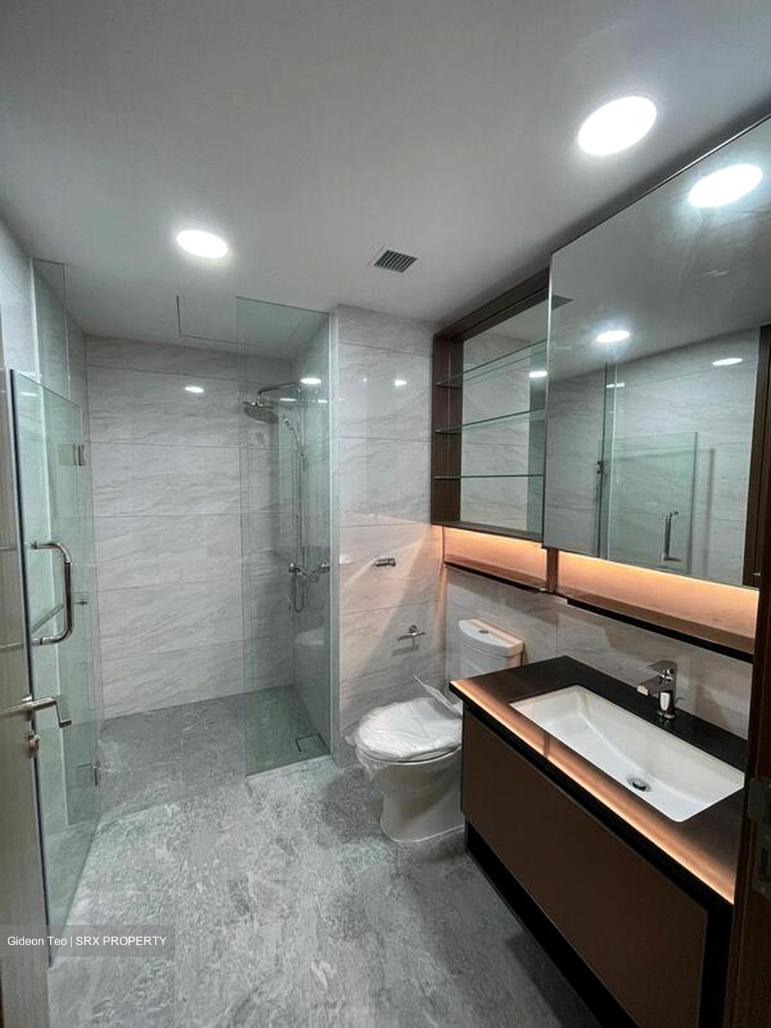 Normanton Park (D5), Apartment #498734571